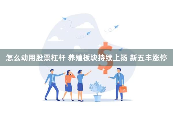 怎么动用股票杠杆 养殖板块持续上扬 新五丰涨停