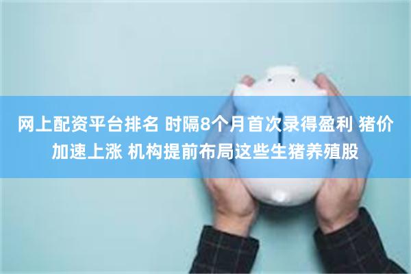 网上配资平台排名 时隔8个月首次录得盈利 猪价加速上涨 机构提前布局这些生猪养殖股