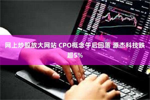 网上炒股放大网站 CPO概念午后回落 源杰科技跌超5%