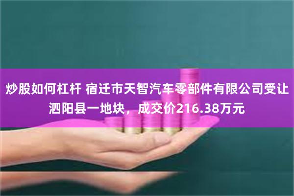 炒股如何杠杆 宿迁市天智汽车零部件有限公司受让泗阳县一地块，成交价216.38万元