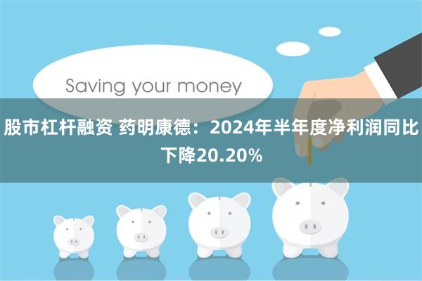 股市杠杆融资 药明康德：2024年半年度净利润同比下降20.20%