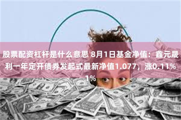 股票配资杠杆是什么意思 8月1日基金净值：鑫元晟利一年定开债券发起式最新净值1.077，涨0.11%