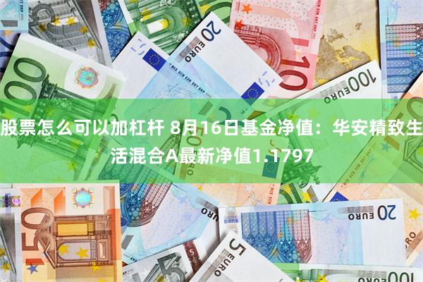 股票怎么可以加杠杆 8月16日基金净值：华安精致生活混合A最