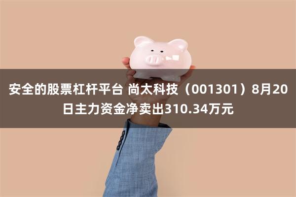 安全的股票杠杆平台 尚太科技（001301）8月20日主力资