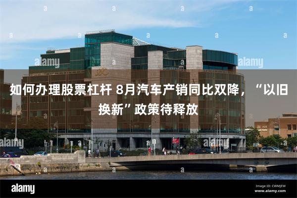 如何办理股票杠杆 8月汽车产销同比双降，“以旧换新”政策待释放