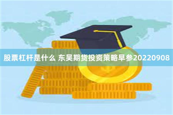 股票杠杆是什么 东吴期货投资策略早参20220908