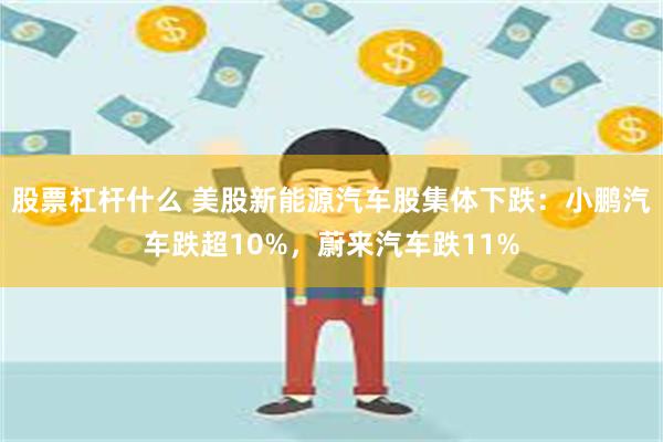 股票杠杆什么 美股新能源汽车股集体下跌：小鹏汽车跌超10%，