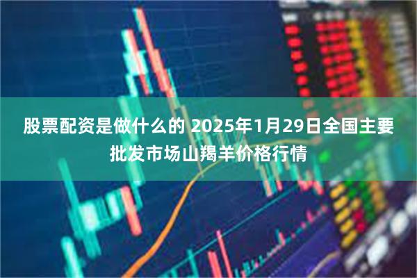 股票配资是做什么的 2025年1月29日全国主要批发市场山羯羊价格行情