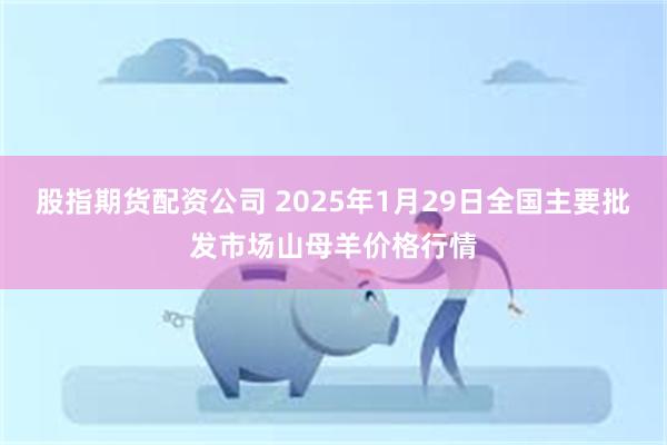 股指期货配资公司 2025年1月29日全国主要批发市场山母羊价格行情