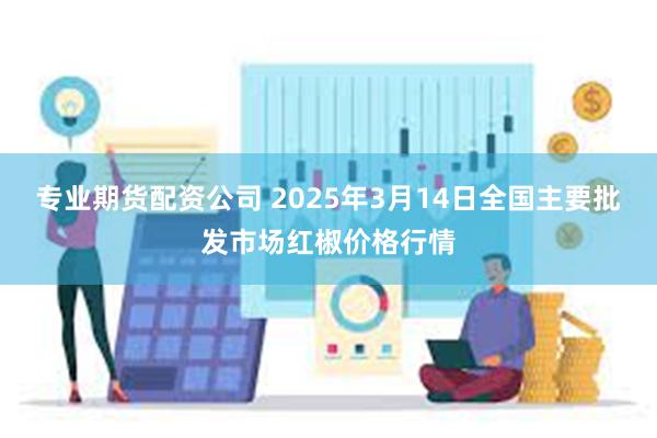 专业期货配资公司 2025年3月14日全国主要批发市场红椒价格行情